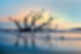 Bone Yard Dawn 2.jpg