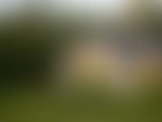 yellow house with white trim