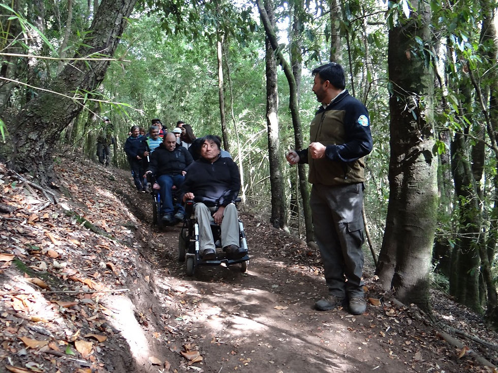 Turismo Inclusivo y Baño de bosque en Parque nacional Alerce Andino Sector Chaicas