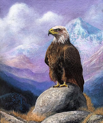wings over peaks.jpeg