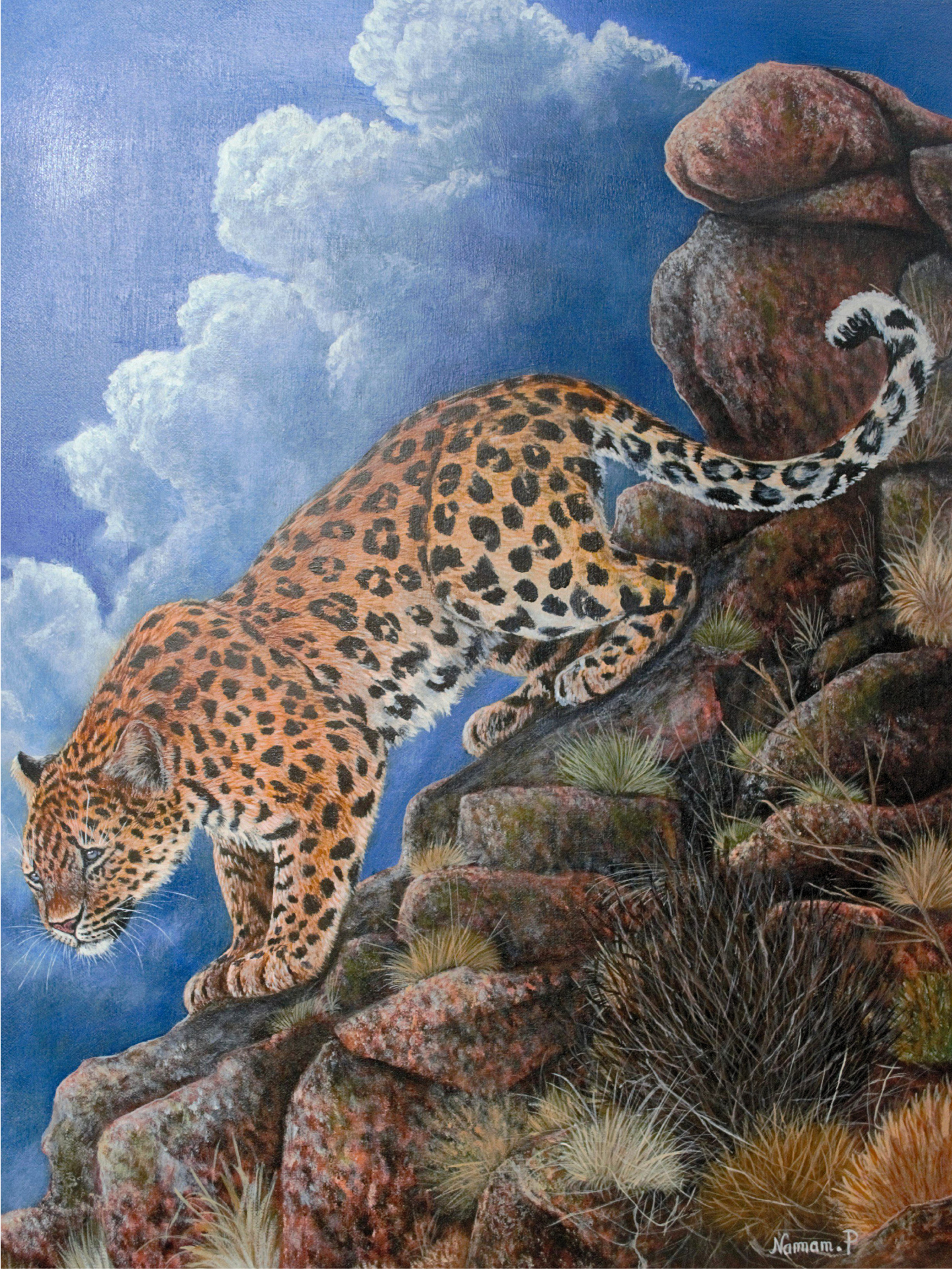 AMUR OF SKY