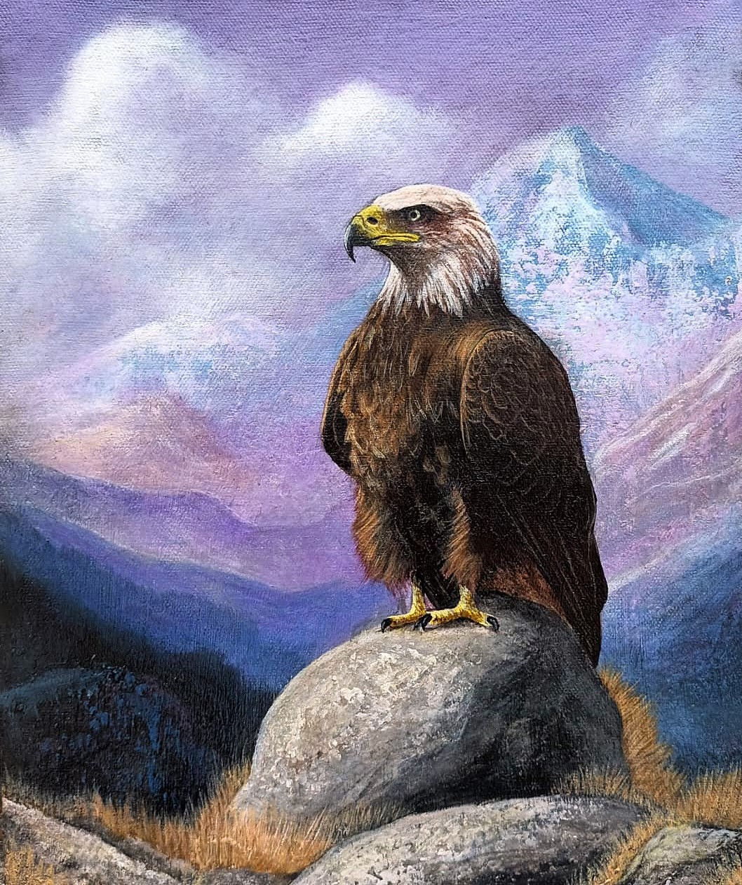 AQUILA , wings over peaks