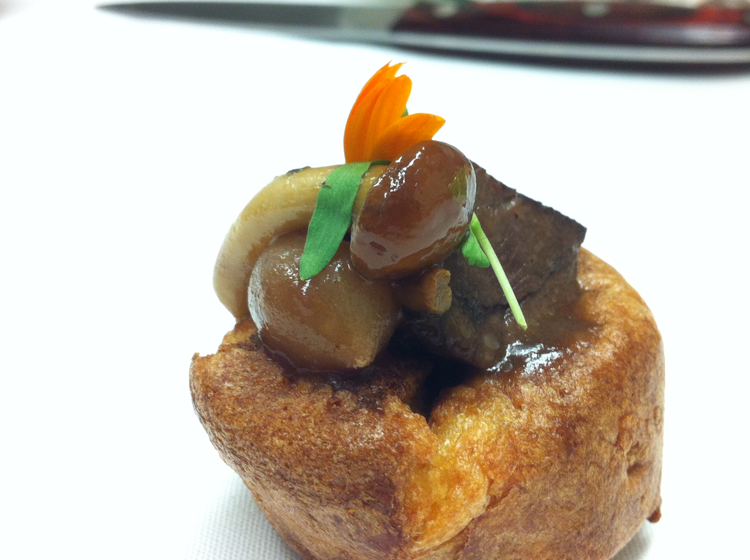 Yorkie with braised beef