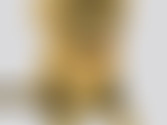 「虎斑貓-挖貴」2