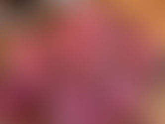 藤沢の英会話教室 2月3回目のレッスンレポート