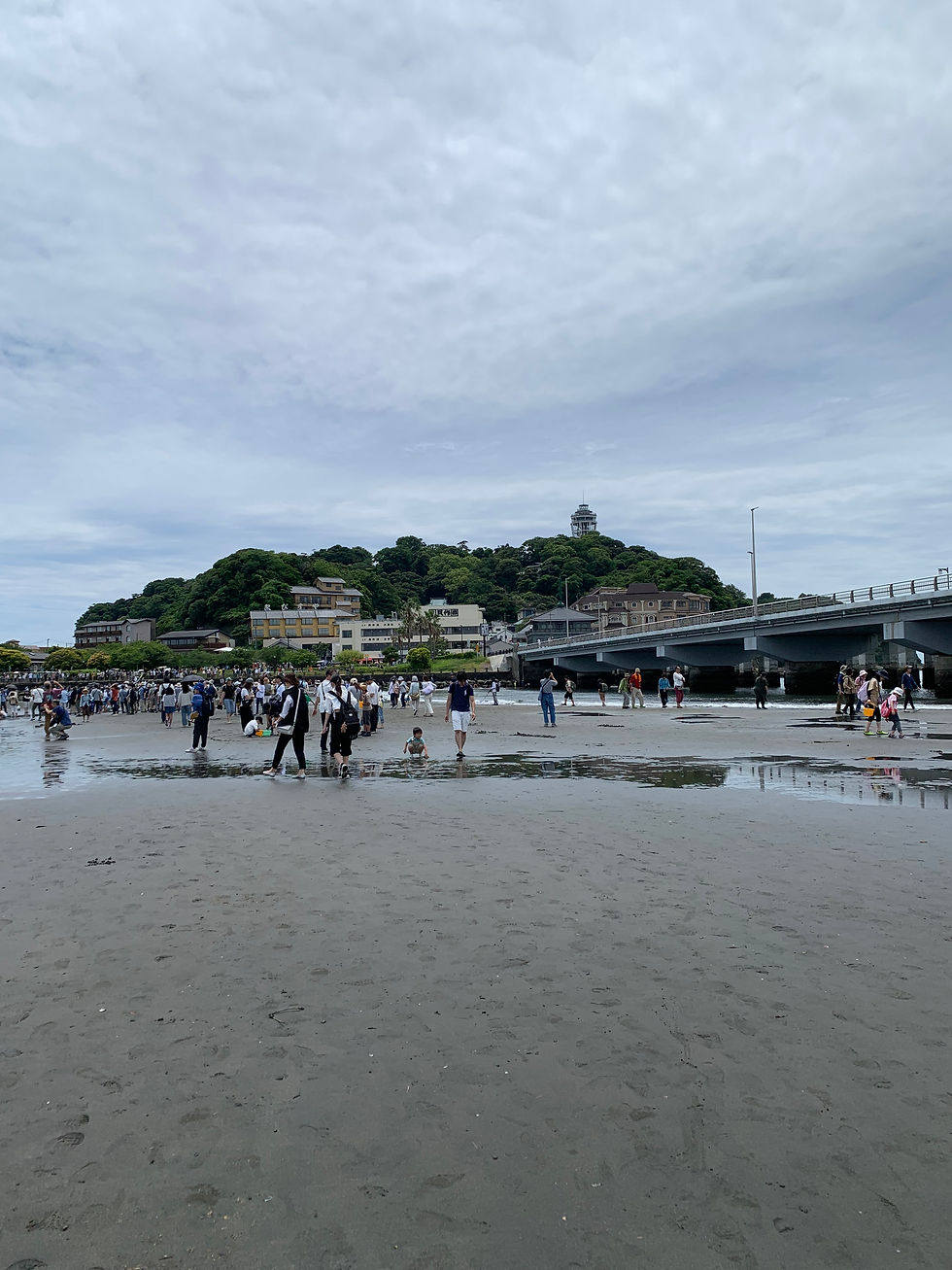 藤沢にある大人のための英会話教室★6月2回目のレッスン