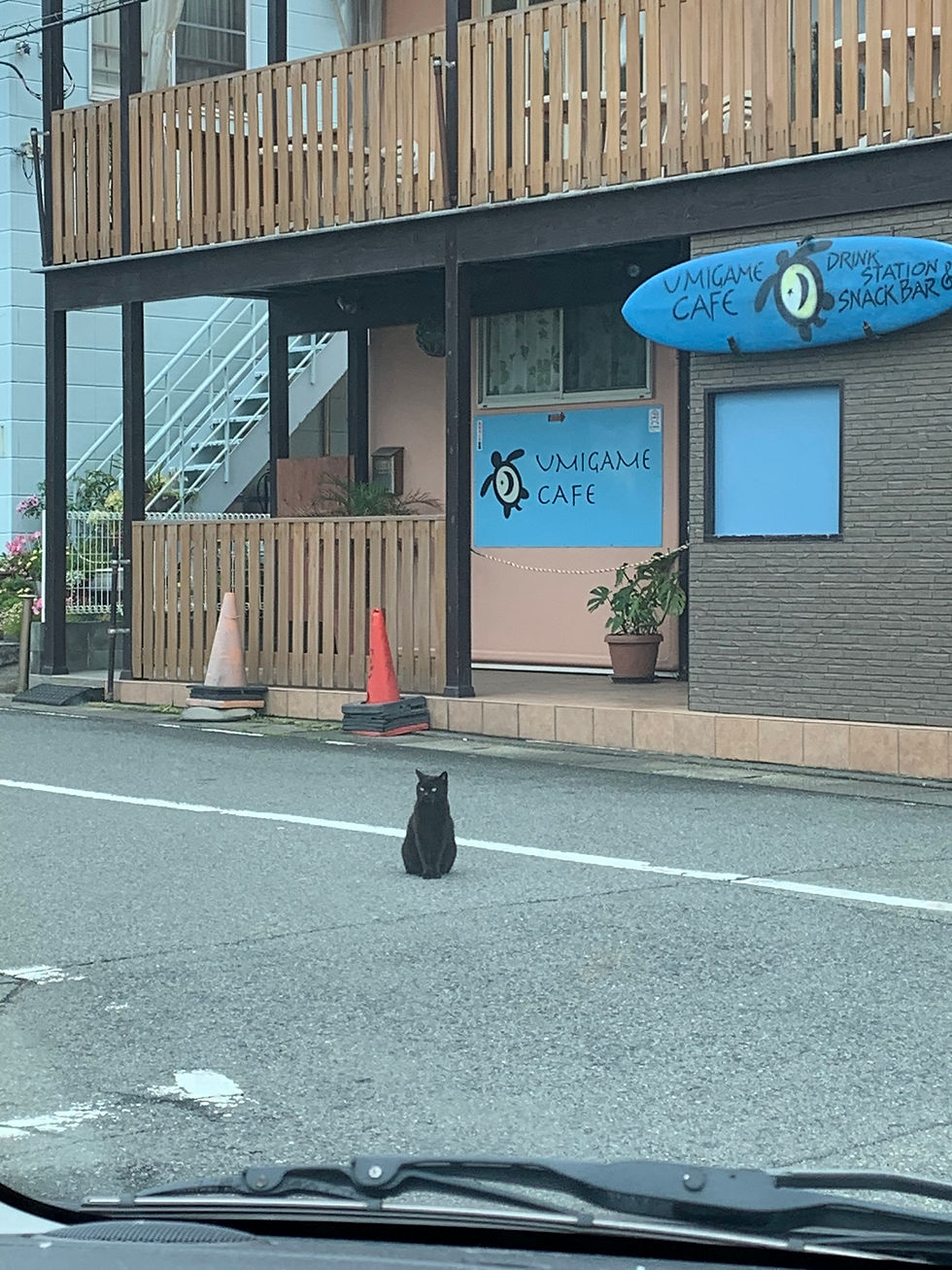 藤沢にある大人のための英会話教室★6月1回目のレッスン