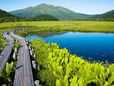 藤沢の英会話教室 10月25日のレッスンレポート