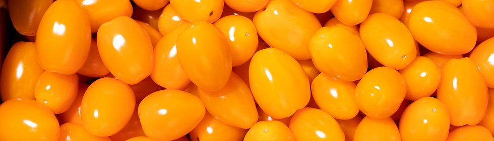 des tomates jaunes !