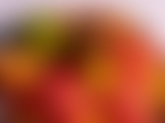 Les secrets de la tomate : la star de l’été