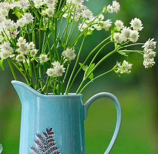 Spring into summer 3.jpg