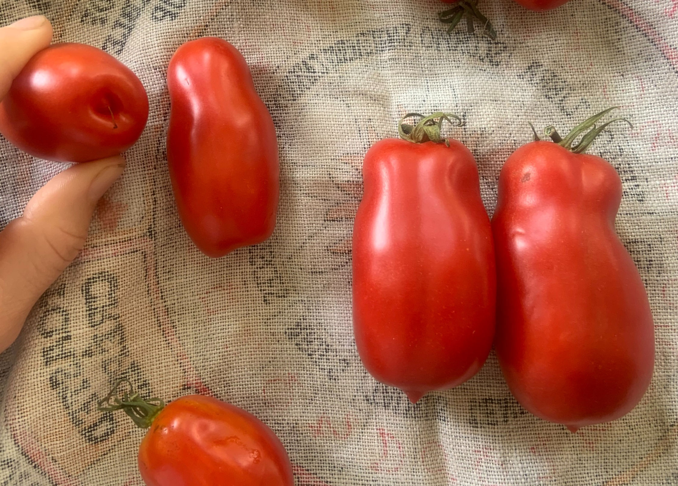 Tomato, Paste, San Marzano