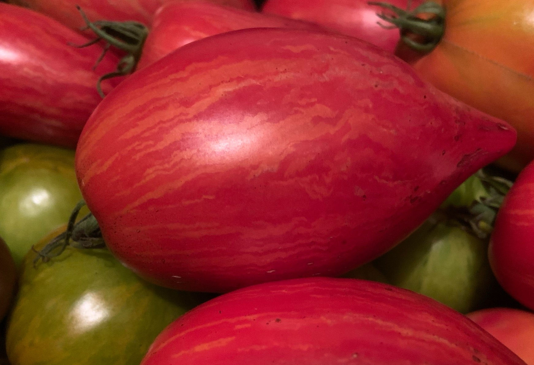 Tomato, Paste, Striped Cavern