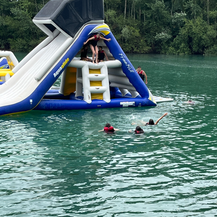 Stage de natation Dauphins du TOEC 2024