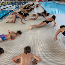 Stage de natation Dauphins du TOEC 2024