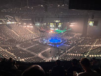 ethiad arena abu dhabi ufc 