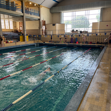 Stage de natation Dauphins du TOEC 2024