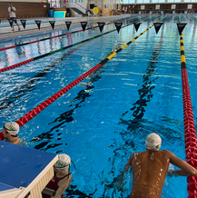 Stage de natation Dauphins du TOEC 2024