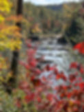 IMG_0192.jpeg