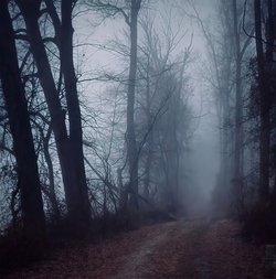 Evansville Foggy Morning Main Page Smaller