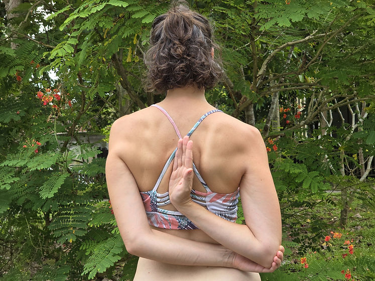 shoulders1.jpg