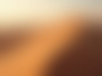 Discover Unique Adventures in Namibia