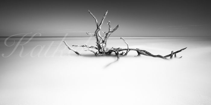 'Serenity'