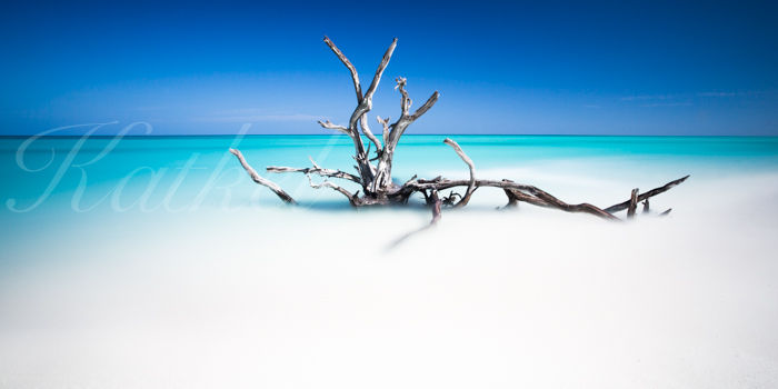 'Serenity'