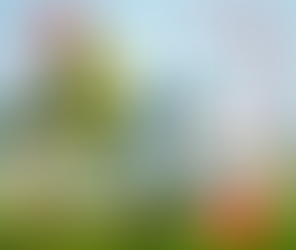 تورونتو تستعدّ لكأس العالم 2026 بافتتاح مركز المتطوّعين الرسمي بالتعاون مع FIFA26 Canada