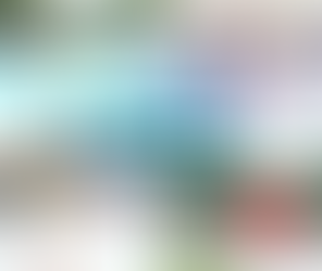 بروسار تفتتح حديقتي لييج وفالوا بعد إعادة تأهيلهما