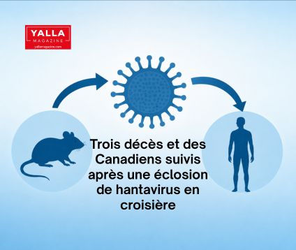 Trois décès et des Canadiens suivis après une éclosion de hantavirus en croisière