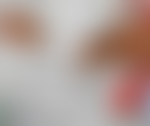 التأمين الصحي في كيبيك… ماذا يغطي وماذا يترك للمواطن؟