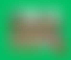 عودة السكوترات الكهربائية إلى شوارع لافال: موسم جديد بزيادة في العدد والمناطق!