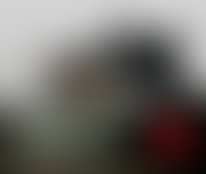 Comment Laval compte-t-elle régler le problème des chats errants?