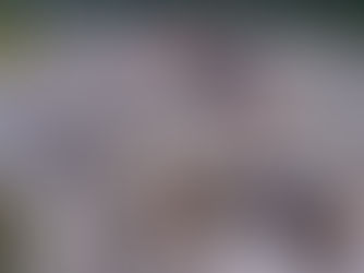 لافال تُنهي عملية جمع الحطام الناجمة عن كوارث 9 آب