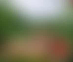 Budget participatif 2025 : six projets pour Laval