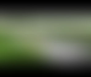 بلدية لافال تخصص 6.7 مليون دولار لإنشاء ثلاث مرافق رياضية جديدة للتزلج والدراجات النارية