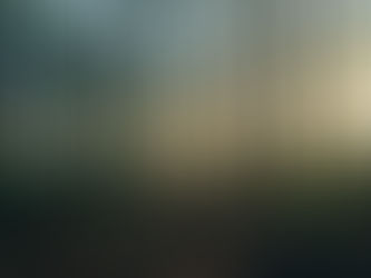 إصلاحات قطاع الغابات في كيبيك: تحديات ومطالبات بالتحرك!