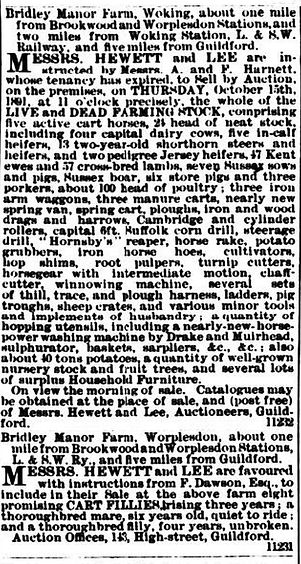 Brid - 1891 Harnett sale ad.jpg