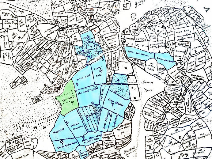 1805 Survey map - Court Farm and Park coloured.jpg