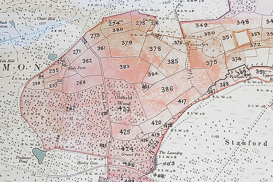 Rails - 1885 sale map.jpg