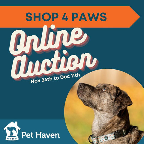 Pet Haven