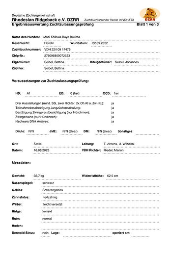 Zuchtzulassungsprüfung_20250816_Bakima.jpg