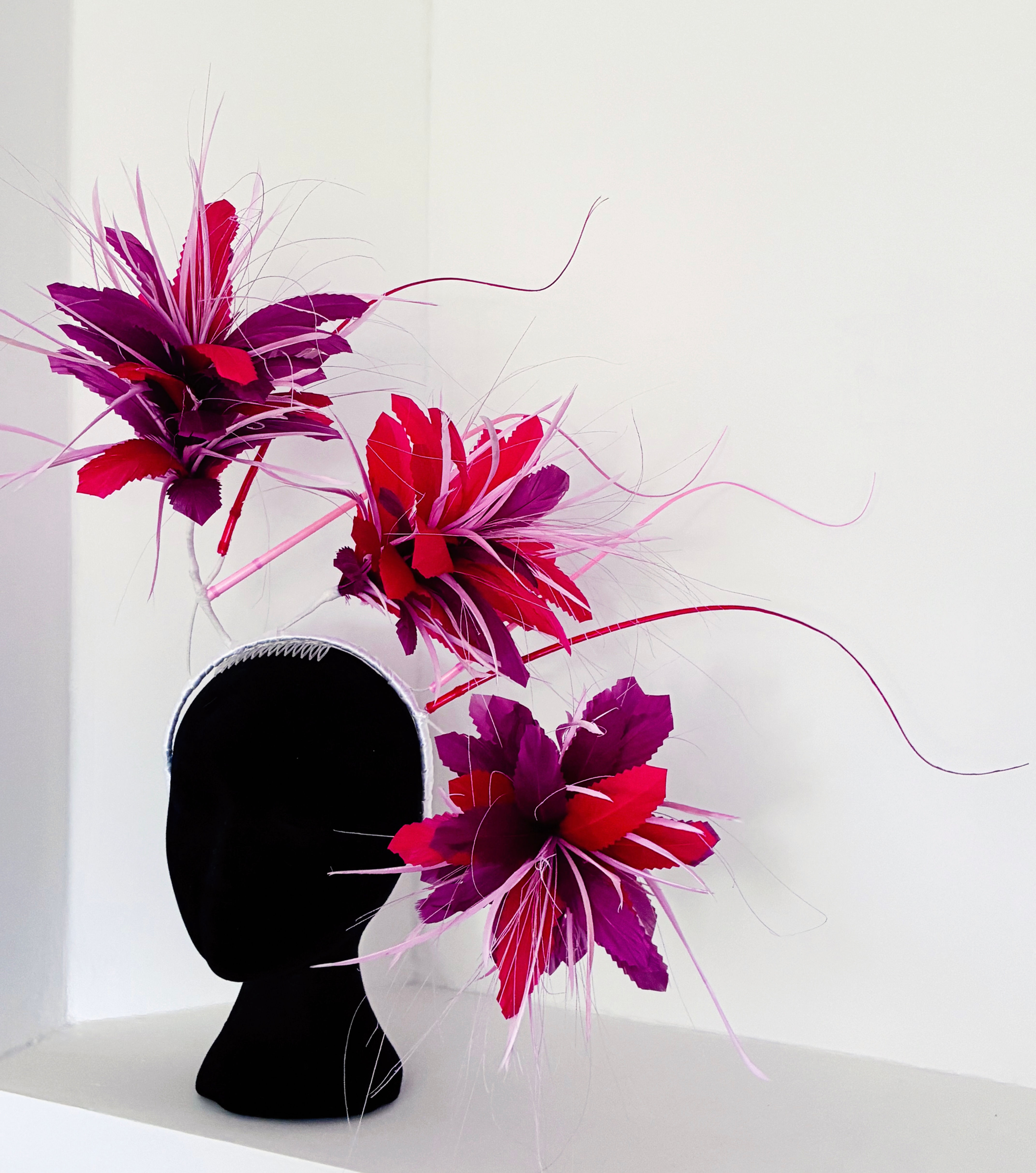 Blooms