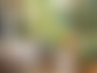 Family-friendly luxury design that reflects personal style