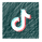 5tiktok