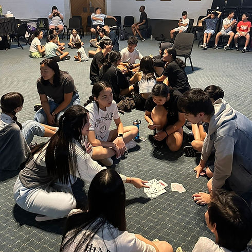 WhatsApp Image 2026-02-12 at 11.42.52 AM (1).jpeg