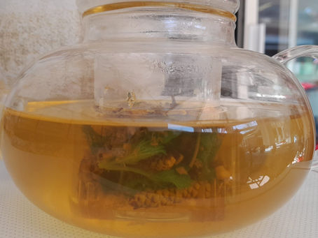 A Weekend of Plants as Medicine