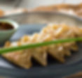 Gyoza Dumplings