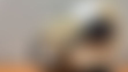 rolodex of directory listings